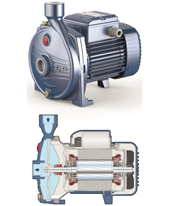 Центробежный насос Pedrollo CP 150 0,75 kW фото