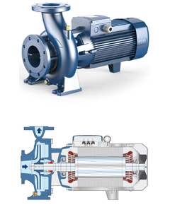 Pompă centrifugală standard "EN 733" Pedrollo F50/200 AR 22 kW