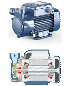 Вихревой насос Pedrollo PQ81-PRO 0,45 kW фото
