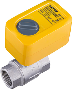 Кран с электроприводом Neptun PROFI 220В 1'' фото