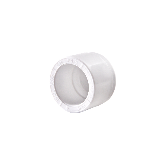 Заглушка 20 F PN25 (пробка) РВК(300)