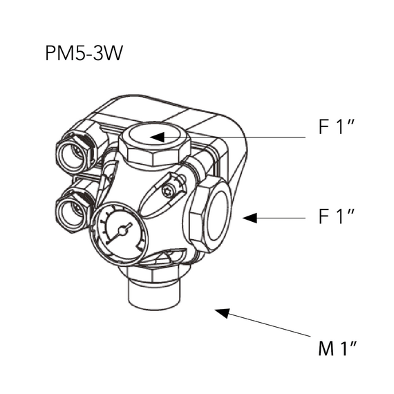 Releu de presiune PM/5 (1-5 bar) 1" cu manometru Italtecnica, 9 image