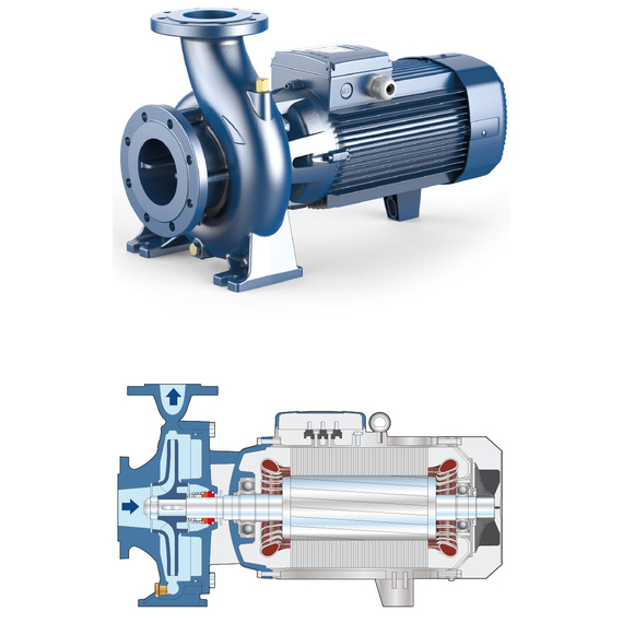 Pompă centrifugală standard "EN 733" Pedrollo F 65/250C 30 kW