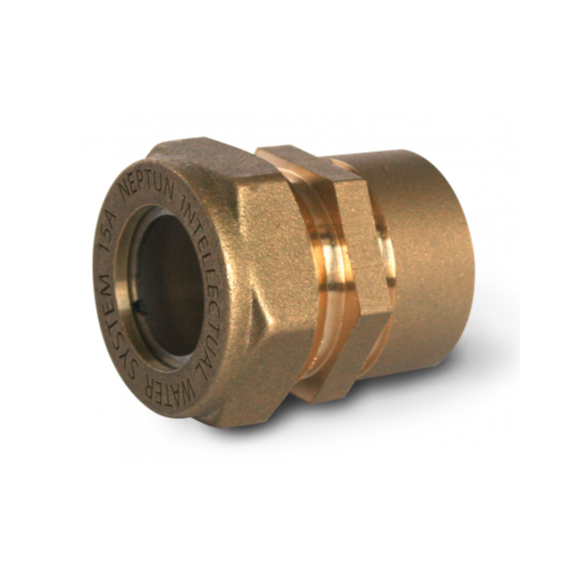 Cuplaj Neptun IWS (F) 32x1 1/4 EF