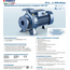Pompa centrifugă Pedrollo F50/160B, 5,5 kW, 7 image